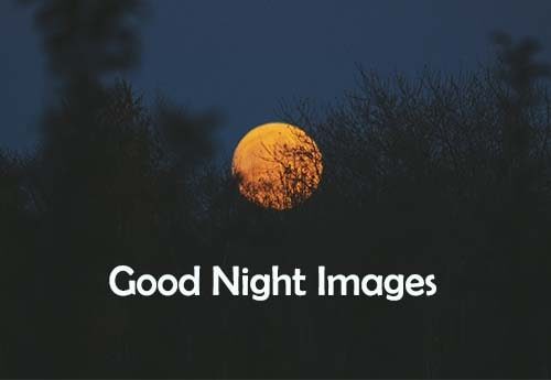 good-night-images