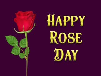 rose-day-images