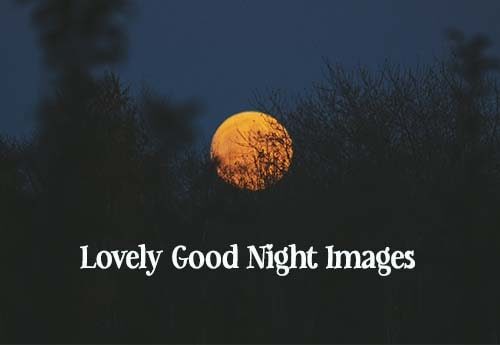lovely-good-night-images