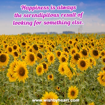 Best Happy Quotes Wishes