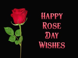 happy-rose-day-wishes